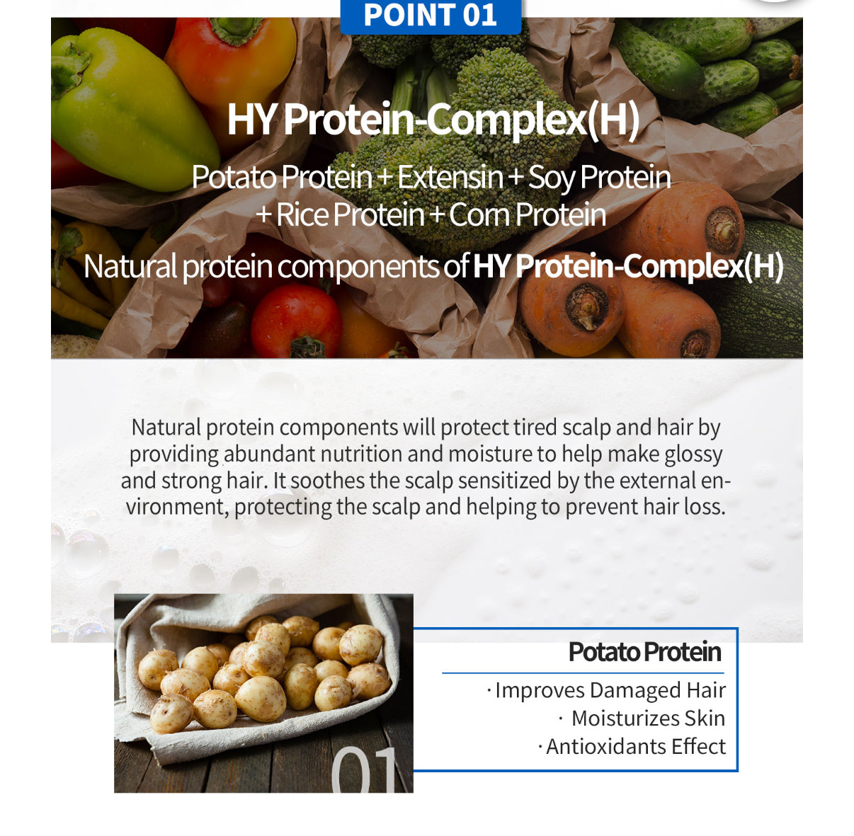 501 Shampoo- Hair Loss